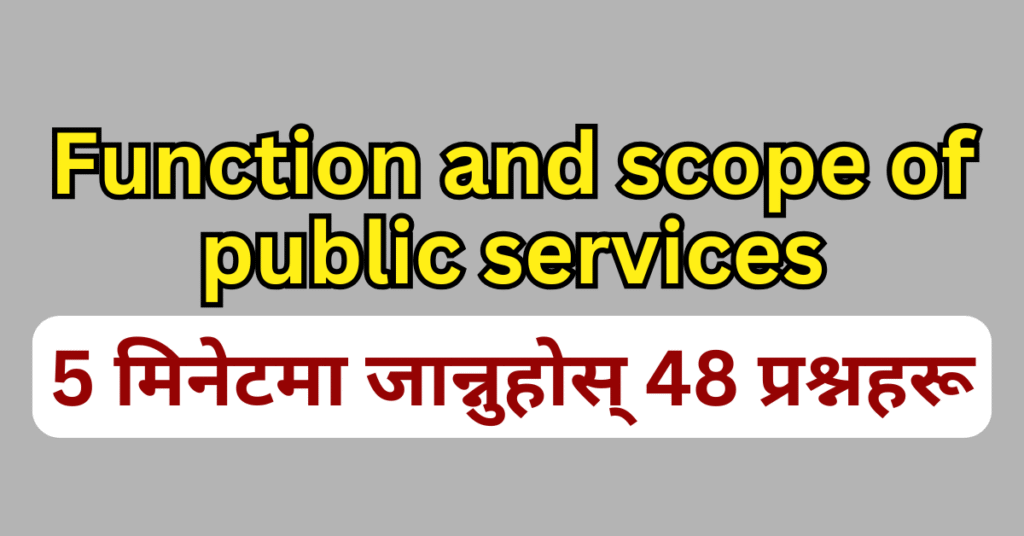 function and scope of public services