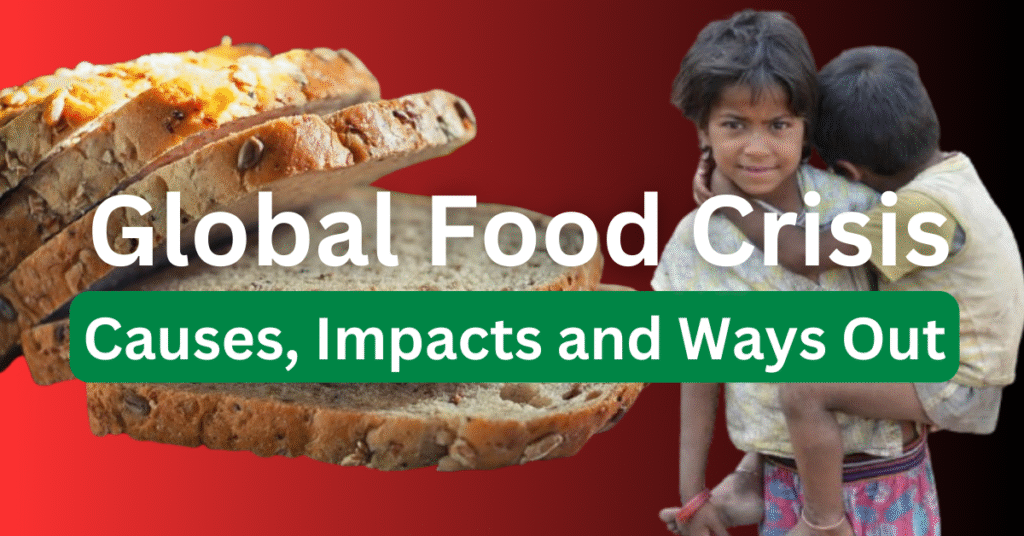 global food crisis
